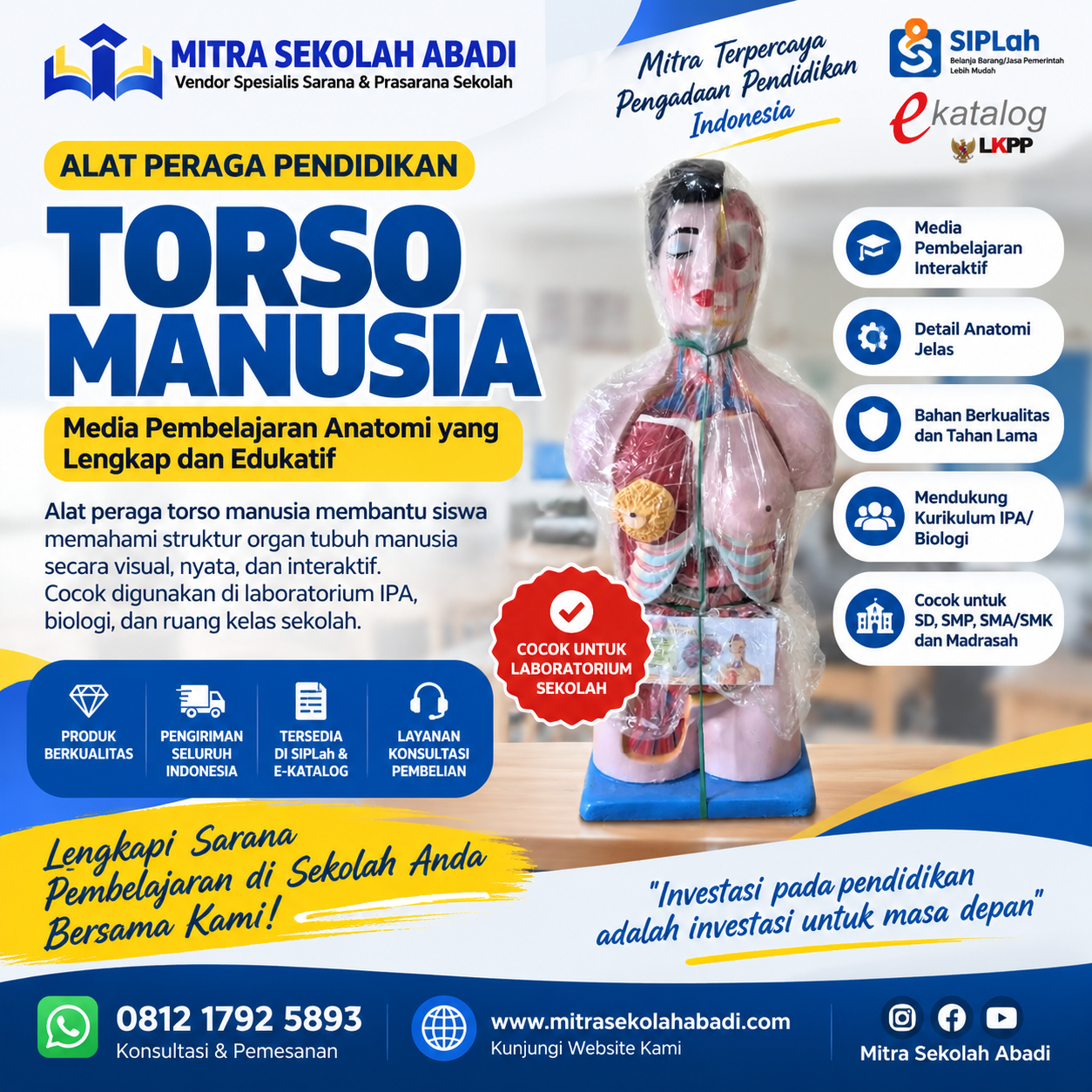Torso Manusia Alat Peraga Pendidikan